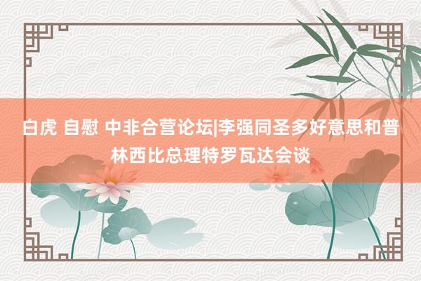 白虎 自慰 中非合营论坛|李强同圣多好意思和普林西比总理特罗瓦达会谈