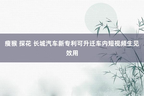 瘦猴 探花 长城汽车新专利可升迁车内短视频生见效用